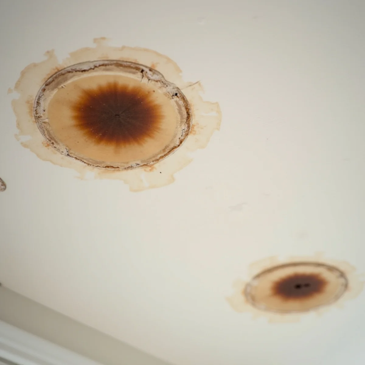 Multiple Recurring Leaks in Different Zones on Delaware roof